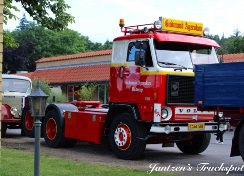 Fyn1-176