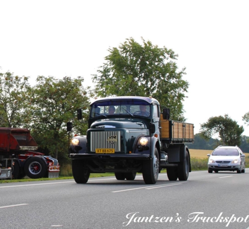 Fyn1-241
