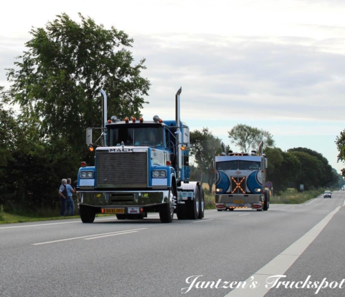 Fyn1-242