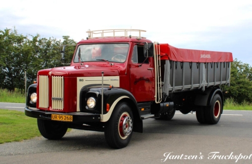 Fyn1-282