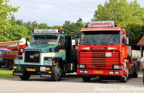 Fyn1-294