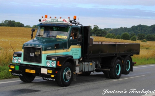 Fyn1-299