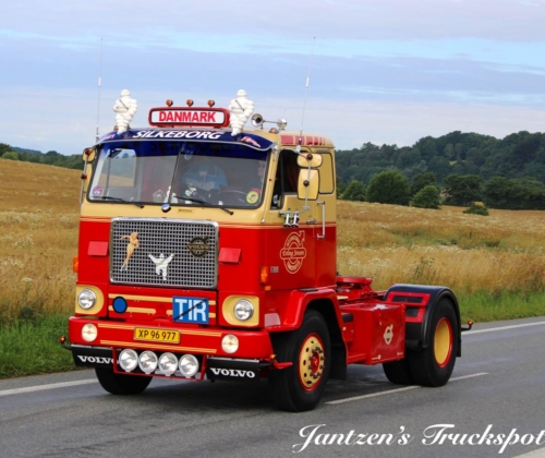 Fyn1-309