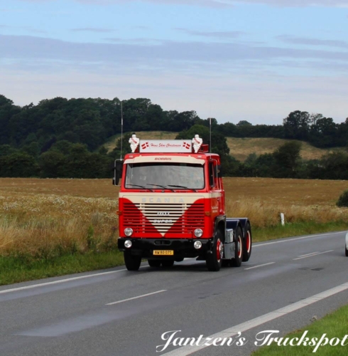 Fyn1-338