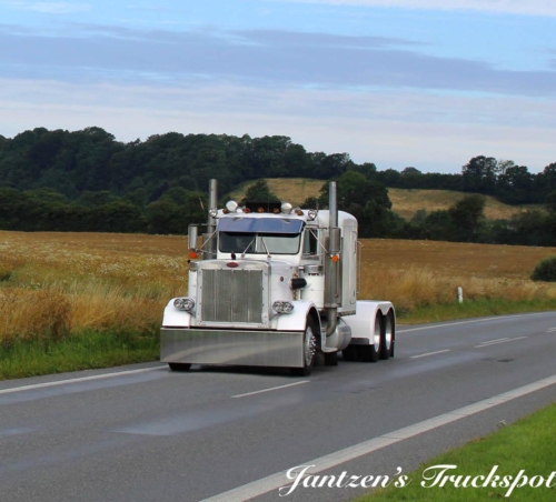 Fyn1-379