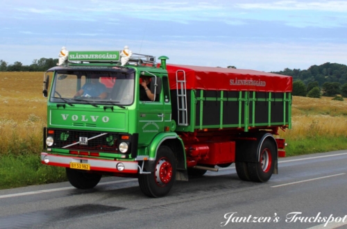 Fyn1-393