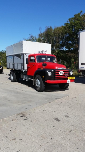 2015-08-08 11.06.13Resized