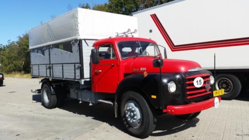 2015-08-08 11.06.18Resized