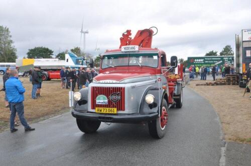 51